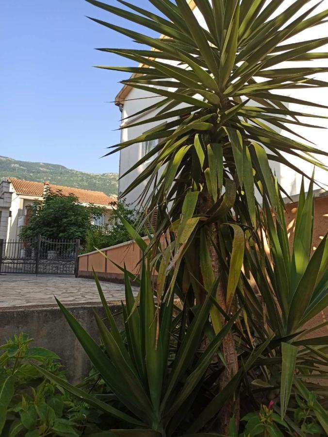 Apartments Parapid Budva Dış mekan fotoğraf